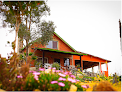 Accommodation In Valle De Guadalupe | Las Margaritas
