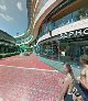 Areca 301 By Cocobr