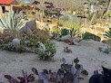 Baja Beach Oasis