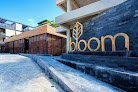 Bloom Tulum Apartments