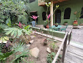 Botanical Studios Sayulita