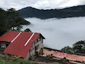 Cabañas 5 Pinos