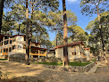Cabañas Bosque Magico