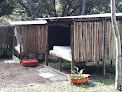 Cabañas & Camping "La Esmeralda"