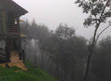 Cabañas El Despertar