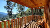 Cabañas En El Bosque De San José Del Pacífico
