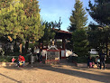 Cabañas Jr