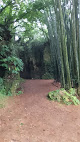 Cabañas Tepani