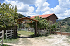 Cabañas Xakali