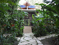 Canto De La Selva Jungle Lodge - Selva Lacandona Montes Azules