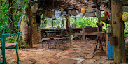 Casa De La Selva