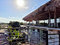 Casa De Las Aves