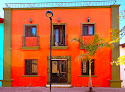 Casa Del Arbol