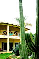 Casa Del Sol