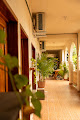 Casa Mezki