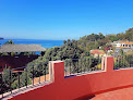Casa Monarca