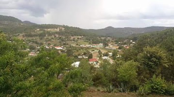 Ccdi San Bernardino De Milpillas Chico - Cdi Durango