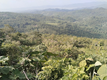 Cerro Armadillo Grande (Las Letras)