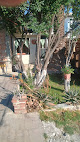 Chantli Ilamatl (Casa De La Abuela)