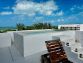 Coccoloba Holbox