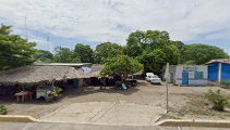 Colonia El Zapotal