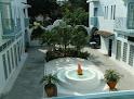 Delphinus Inn