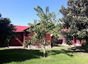 El Nuevo Cadillo