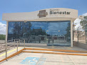 El Palmito