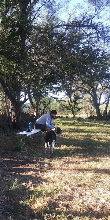 El Platanar