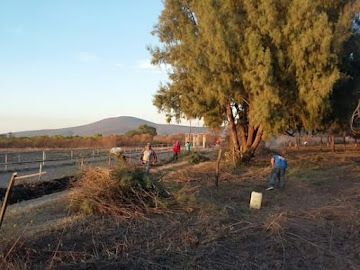 El Tequesquite