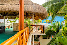 Estudios Selva Y Mar