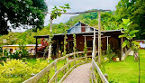 Finca San Antonio