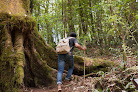 Glamping El Cielo Adventures