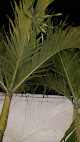 Guacamaya Hostel