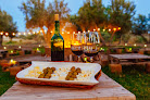 Guadalupe Valle Glamping