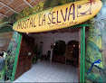 Hostal La Selva San Pancho