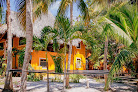 Hostel Tribu