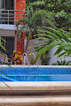Hotel Arrecifes Costa Maya