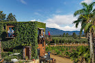 Hotel Boutique & Spa Valle De Guadalupe