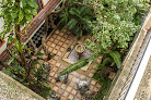 Hotel Casa Del Balam