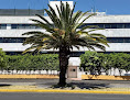 Hotel Centralmx