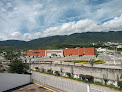 Hotel Cesar Inn