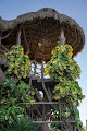 Hotel Cielito By Mij