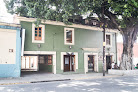 Hotel Del Árbol