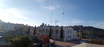 Hotel Del Bosque