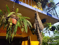 Hotel Hostal Del Cafe