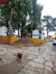 Hotel Jardín Hidalgo