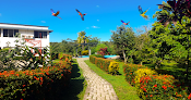 Hotel Los Leones