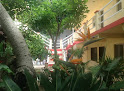 Hotel Marinelly
