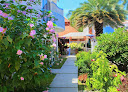 Hotel Mexico Lindo